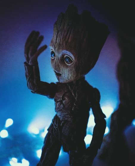Groot 