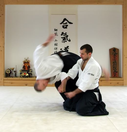 Four Direction Throw technique.