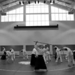 men training Aikido