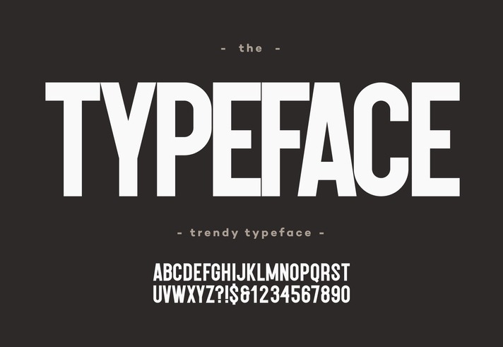 Vector typeface bold style