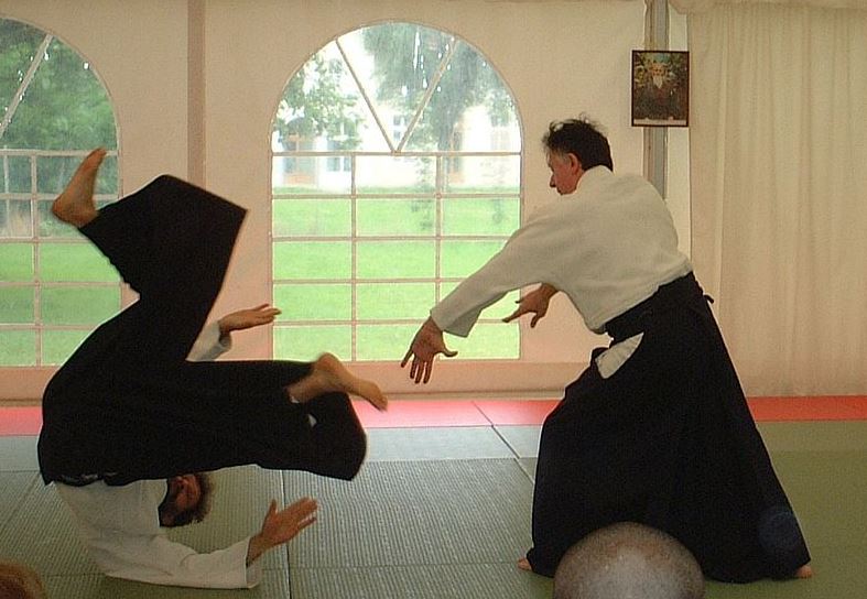 A depiction of aikido exercise in France 2002.
