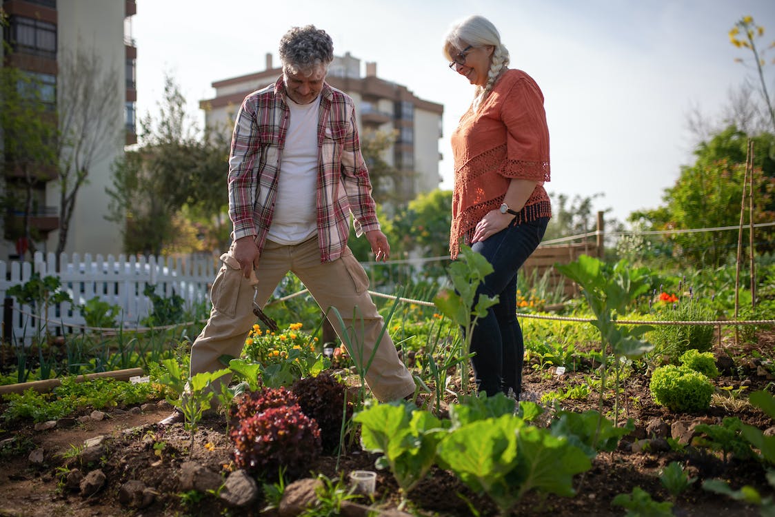 Elderly couple gardening